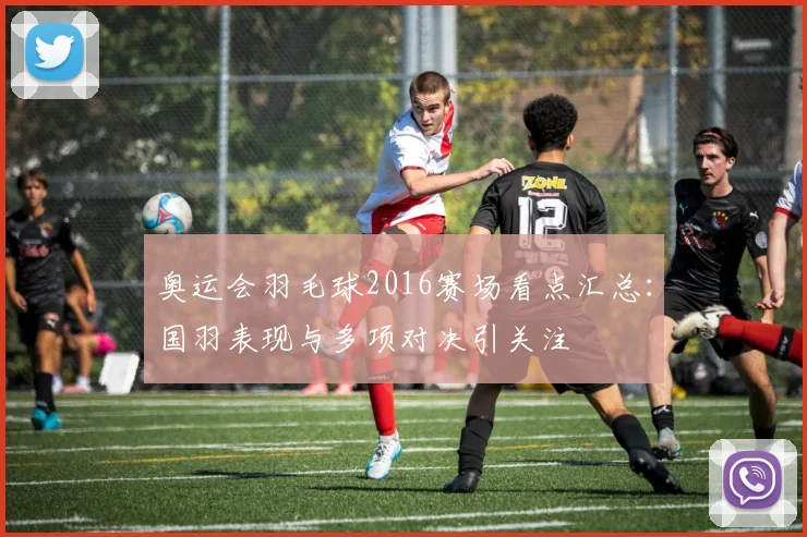 奥运会羽毛球2016赛场看点汇总:国羽表现与多项对决引关注