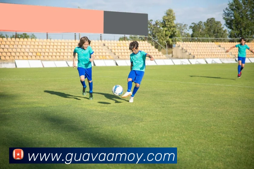 hth官网地址APP 高清赛事图